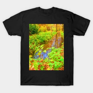 ditch in the park, painting, oil painting, nature T-Shirt